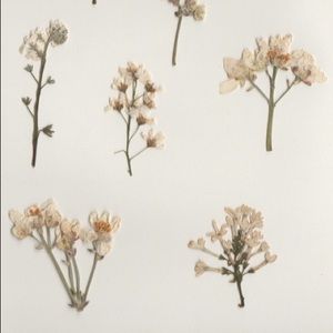 ⚡️Nothing but love here 💛